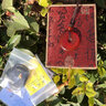 玉有情  平安扣吊墜男女款玉髓瑪瑙項(xiàng)鏈送媽媽女友老婆禮物 紅瑪瑙款 曬單實(shí)拍圖
