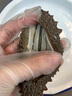 北皇海參鮮食海參高品質(zhì)大連底播即食遼刺參四斤裝2000g禮盒 滋補(bǔ)送禮 4斤裝* 8A 5-6頭/斤 每頭10-12cm 四斤裝 曬單實(shí)拍圖