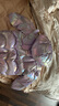 PawinPaw卡通小熊童裝秋冬女寶后背翅膀炫彩羽絨服保暖 Purple紫色/75 100 cm 曬單實拍圖