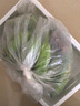 果迎鮮蘋果蕉廣西蘋果蕉 胖香蕉 廣西西貢蕉 粉蕉 香蕉 新鮮水果 9斤蘋果蕉 曬單實拍圖