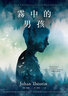 霧中的男孩 Skumtimmen 港臺原版 Johan Theorin 春天出版 瑞典犯罪懸疑小說(shuō) 曬單實(shí)拍圖