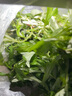 艾草新鮮蔬菜 當(dāng)季食用農(nóng)家生艾草葉 艾蒿清明草糍粑艾粄青團(tuán)嫩艾葉 1.5kg 曬單實(shí)拍圖