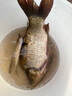廣太 魚(yú)網(wǎng)漁網(wǎng)粘魚(yú)優(yōu)質(zhì)綠絲網(wǎng)三層魚(yú)網(wǎng)沉網(wǎng)魚(yú)網(wǎng)掛魚(yú)網(wǎng)絲網(wǎng) 綠絲 1.5米高5指50米長(cháng)三層沉網(wǎng) 曬單實(shí)拍圖