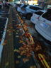 泊友 汽車(chē)車(chē)位鎖加厚防撞停車(chē)位地鎖龍門(mén)地樁鎖占位鎖加長(cháng)占位拱形擋車(chē)器地鎖 雙鎖雙桿+掛鎖80龍門(mén) 曬單實(shí)拍圖