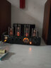 諾普聲CS1020Hifi發(fā)燒膽機(jī)電子管功放機(jī)藍(lán)牙音箱音響組合套裝（藍(lán)牙升級版） 紅色NS2000升級款+10D三代膽機(jī) 曬單實拍圖
