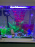 SEA STAR生态海 星小鱼缸客厅小型水族箱创意迷你玻璃家用懒人造景LED灯 380F布景套装（带20件套） 实拍图