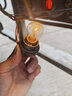 汽車(chē)轉向/行車(chē)燈雙絲高低腳平腳剎車(chē)燈倒車(chē)燈泡 1141(12V單尾平角10只) 曬單實(shí)拍圖