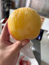 菓靈稥【順豐】深州大蜜桃河北馬莊水蜜桃壽桃新鮮中秋水果禮盒 水蜜桃8個(gè)家庭裝（單果7-8兩） 順豐 曬單實(shí)拍圖