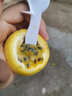 譯優(yōu)農海南黃金百香果 新鮮現摘西番蓮黃皮芭樂(lè )味雞蛋果熱情果 孕婦水果 3斤精選一級大果 曬單實(shí)拍圖
