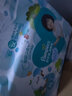 幫寶適（Pampers） 紙尿褲寶寶尿不濕嬰兒尿褲干爽透氣尿布濕男女寶寶通用 清新幫加大碼XL38片【12-17kg】 曬單實(shí)拍圖