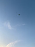 可愛(ài)布丁 風(fēng)箏套裝 2米戶(hù)外濰坊大型風(fēng)箏紙鳶線(xiàn)輪8歲男14女孩親子運動(dòng)2.5m 2米大草原+300米線(xiàn)+尾飄 曬單實(shí)拍圖