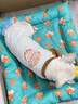 MIKI PAD寵物狗狗衣服夏季薄款透氣T恤小型犬幼犬貓咪衣服泰迪比熊雪納瑞 灰色棒球燙畫【棉質(zhì)護(hù)肚】 XL胸圍52cm（建議12-18斤） 曬單實拍圖