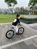 Prima Rider譜瑞瑪KP-運動(dòng)款兒童自行車(chē)腳踏車(chē)單車(chē)男女孩超輕3-8歲 【20寸】【運動(dòng)款】亮銀色 單速 曬單實(shí)拍圖
