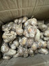 麗雯正宗新鮮沙姜廣東茂名信宜高州特產(chǎn)老姜蘸料調(diào)味香配料三山奈 沙姜2斤 曬單實(shí)拍圖