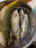 BKUMAN進(jìn)口日本東麗原絲釣魚線主線子線超柔軟超強(qiáng)拉力高端尼龍線抗打卷 東の原絲【透明子線】220米 1.5 曬單實(shí)拍圖