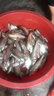 獵鋼狼  黑金剛沖鋒舟橡皮艇硬底釣魚(yú)船充氣船 皮劃艇沖鋒艇救援艇快艇 2.8米加厚沖鋒舟(3人) 曬單實(shí)拍圖
