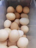 谷物歡欣 林間散養土雞蛋 新鮮雞蛋 農家散養柴雞蛋綠殼蛋 適合孕婦寶寶 50枚 曬單實(shí)拍圖