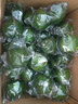 辰實【現(xiàn)貨】 新鮮青檸檬 無籽青檸檬 綠皮小青檸薄皮香水檸檬 3斤新鮮青檸檬 曬單實拍圖