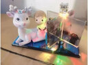 蘇漫妮DIY水晶相冊定制照片送女朋友創(chuàng  )意擺件臥室情侶生日禮物送老婆情人節禮物送女友男友閨蜜結婚紀念日 浪漫紅玫瑰+定制4張方形照片（精美禮盒） 曬單實(shí)拍圖