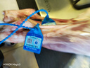灘羊鮮生 寧夏灘羊肉生鮮全羊整只35斤白條羊年貨禮盒火鍋食材源頭直發(fā) 曬單實拍圖