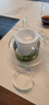 筷創(chuàng) 耐熱透明玻璃花茶壺花果茶加熱保溫煮茶壺蠟燭酒精燈鐵架茶爐 800加厚壺+6把杯+心座+茶盤 800ml 曬單實拍圖