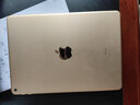 【二手95成新】蘋(píng)果平板 Air1/Air2/2017款/2018款/2019款iPad辦公游戲 iPad Air2 16G WiFi版 品牌充電套裝+耳機(jī)+殼膜+電容手寫(xiě)筆 曬單實(shí)拍圖