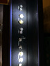 ?，斠恢芏斔娜~草耳環(huán)輕奢時(shí)尚女士高級(jí)感耳墜耳釘生日禮物送女朋友 一周星期銀耳釘【燈光禮盒】 曬單實(shí)拍圖