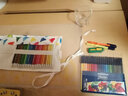 德國施德樓(STAEDTLER)進(jìn)口兒童可水洗繪畫(huà)涂鴉20色水彩筆套裝 326 WP20 326 WP20（20色套裝） 曬單實(shí)拍圖