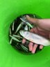 蘆王納米空心尾魚漂高靈敏漂老年近視加粗醒目粗尾浮標(biāo)鯽魚漂大物浮漂 KK-08（鉛約6.5-9.0g） 一套三支 曬單實(shí)拍圖