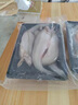 安峰山鮮活冷凍豆腐魚龍頭魚絲丁魚九肚魚生鮮龍頭鮳 2斤嘗鮮價 曬單實拍圖