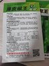 超大薄皮王辣椒種子新品種大果高產(chǎn)四季泡椒種子早熟雜交青椒種子 薄皮椒王種子 3包約600粒 曬單實(shí)拍圖
