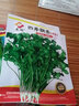蘇瑞耐寒耐熱香菜種子大葉芫荽陽臺四季香菜種菜種籽種籽農(nóng)家蔬菜種孑 四季香菜【20克】 曬單實拍圖