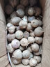 蜀農(nóng)紀云南紫皮獨頭蒜獨瓣蒜新鮮獨蒜蔬菜紅皮蒜干蒜調(diào)味料腌糖蒜 云南干獨蒜2500g 云南獨蒜大果（3-3.5cm） 曬單實拍圖