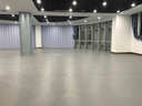 新綠里（SIGREENY）健身房地膠墊室內商用地膠幼兒園舞蹈室pvc運動(dòng)地板多功能地膠 曬單實(shí)拍圖