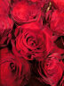 花递鲜花速递33朵红玫瑰花束生日礼物送女友全国同城配送|TT63 实拍图