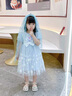 mlgt kids童裝女童愛莎公主裙2025夏季禮服女孩連衣裙兒童網(wǎng)紗裙子 藍色 連衣裙+網(wǎng)紗發(fā)箍 90 cm（建議80-90cm1-2周歲左右） 曬單實拍圖