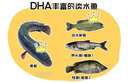 【禮券】陽(yáng)澄股份禮卡2588 公5.0兩/只母3.5兩/只5對/10只提貨券 曬單實(shí)拍圖