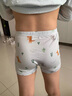 瑁恩·瑁愛(ài)（Mn·Mo）兒童內褲男童平角短褲中大小童寶寶天絲莫代爾四角不夾PP 06#恐龍部落 2條 120 建議35-43斤 曬單實(shí)拍圖