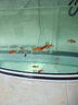 森森（SUNSUN）森森魚(yú)缸過(guò)濾器三合一循環(huán)潛水泵小型水族箱凈水增氧低音過(guò)濾水泵 JP-1500GS(適合1.5米左右魚(yú)缸） 曬單實(shí)拍圖