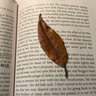 Vanity Fair 英文原版 名利場 The English Library 英文版 進(jìn)口英語原版書籍 曬單實(shí)拍圖