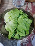 桃李村【順豐】新鮮奶油生菜 西餐沙拉蔬菜 500g 曬單實拍圖