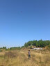 愛吃魚濰坊風(fēng)箏輪盤風(fēng)箏線輪線盤輪盤手握輪風(fēng)箏線靜音金屬軸承帶自鎖 28CM黑1000米線帶連接器 曬單實拍圖