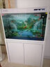 閩江中大型金魚(yú)缸上過(guò)濾水族箱鞋柜儲物懶人免換水長(cháng)方形家用客廳魚(yú)缸 白色 魚(yú)缸過(guò)濾套餐 曬單實(shí)拍圖