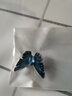 界末琺瑯彩蝴蝶胸針復古中國風(fēng)簡(jiǎn)約氣質(zhì)胸花別針連衣裙外套配飾輕奢女 銀藍水晶琺瑯小蝴蝶胸針 曬單實(shí)拍圖