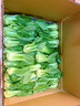 油菜 上海青 小油菜小青菜 新鮮蔬菜500g 禾人 500g裝 曬單實拍圖