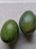 海南小臺農(nóng)芒果新鮮現(xiàn)摘小臺芒應(yīng)當(dāng)季熱帶水果特產(chǎn)甜心熟芒果 9斤嚴(yán)選裝JD快遞 【小果】爆甜多汁 曬單實拍圖