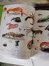 DK儿童图解百科全书（全4册）含交通工具、自然生命、岩石与宝石、化学元素 实拍图