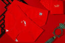 红豆内裤女大红抗菌棉氨女士内裤本命年中腰三角裤4条装B516中国红170 实拍图