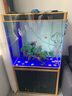 SEASTAR大型超白魚缸底部過濾龍魚缸家用水族箱客廳生態(tài)魚缸地柜一體式 TA-800DH底濾/超白玻璃/五色可選 曬單實拍圖