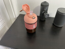 SIMELO施美樂手持咖啡杯女玻璃杯高顏值吸管直飲辦公室冷泡杯子 羅曼粉390ML(彈蓋直飲) 曬單實拍圖